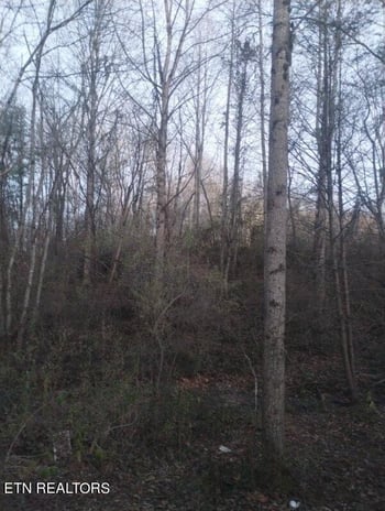 0 Morgan County Hw, Wartburg, TN 37887