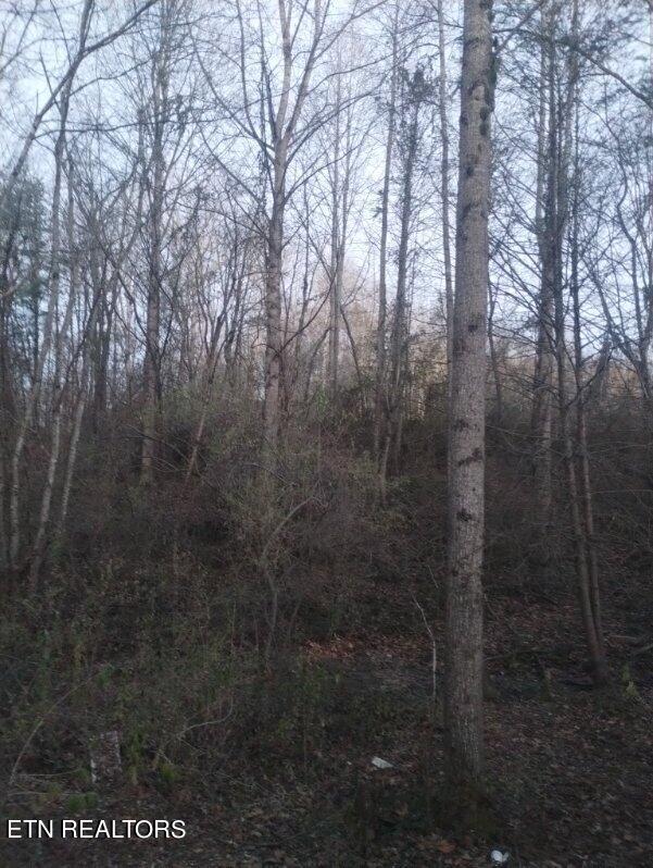 0 Morgan County Hw, Wartburg, TN 37887