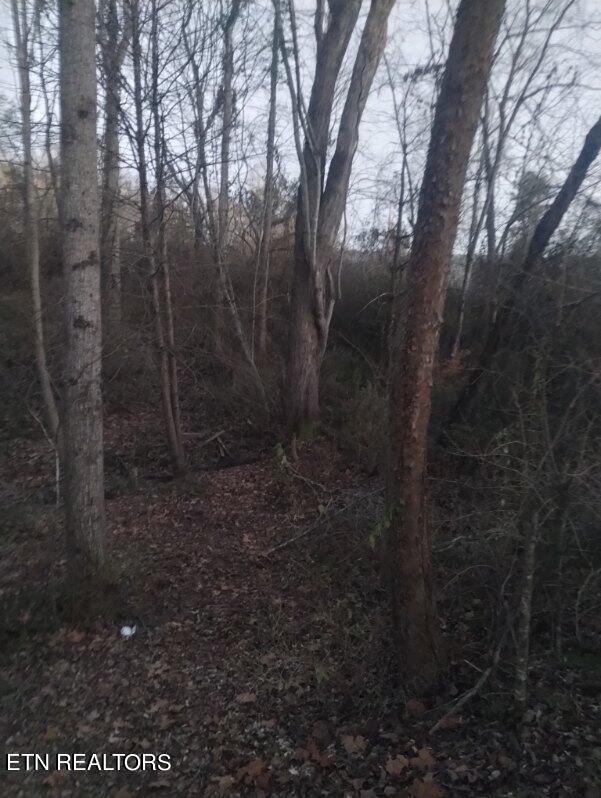 0 Morgan County Hw, Wartburg, TN 37887