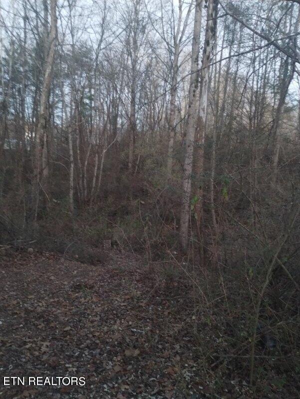 0 Morgan County Hw, Wartburg, TN 37887