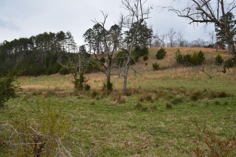 0 Mortar Rd, Sevierville, TN 37876
