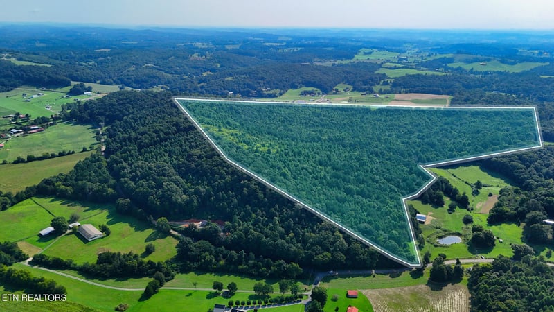 0 Moss Rd, Philadelphia, TN 37846