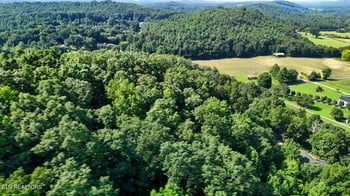 0 Moss Rd, Philadelphia, TN 37846