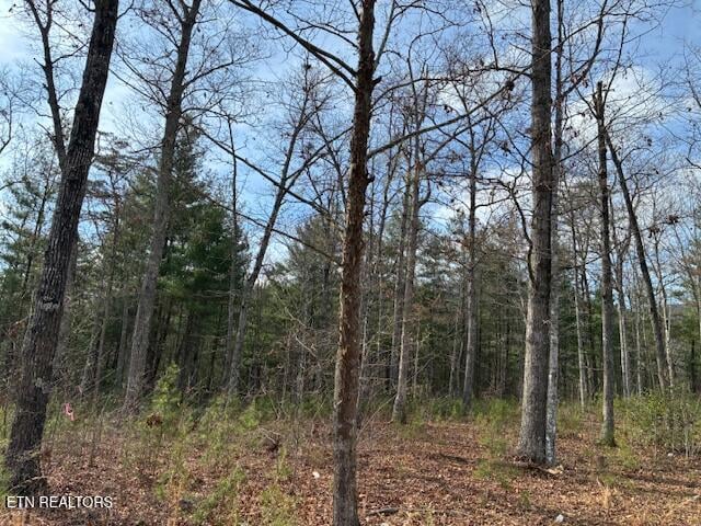 0 Mountain Ash Way, Sevierville, TN 37876