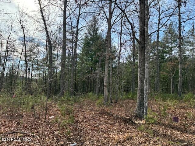 0 Mountain Ash Way, Sevierville, TN 37876