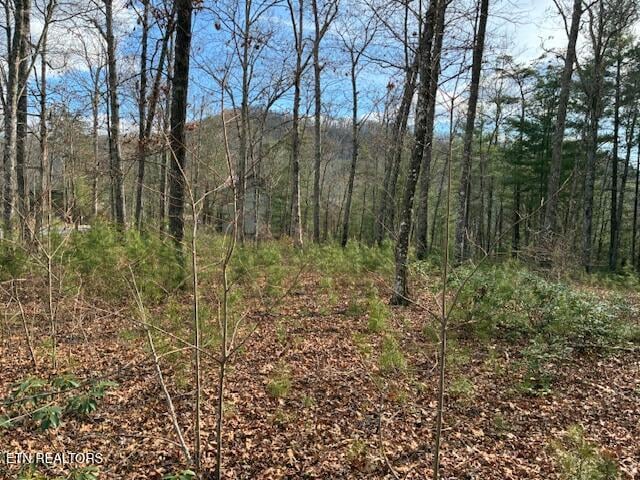 0 Mountain Ash Way, Sevierville, TN 37876