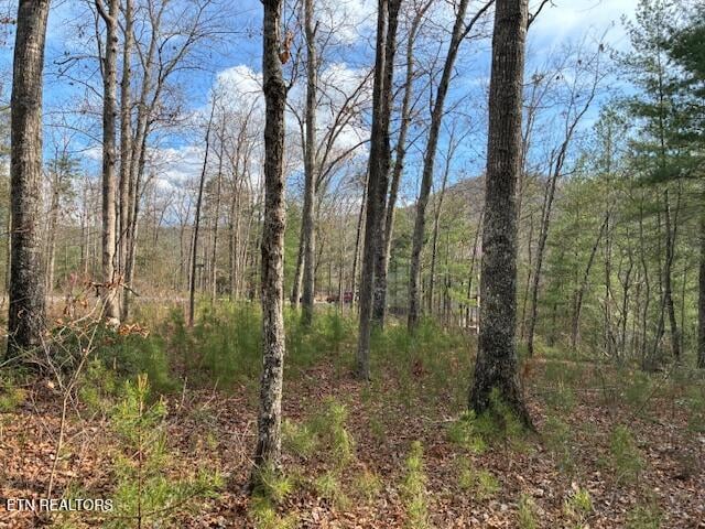 0 Mountain Ash Way, Sevierville, TN 37876