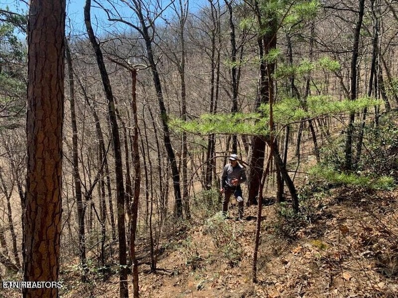 0 Mountain Folks Way, Sevierville, TN 37876