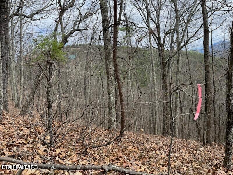 0 Mountain Folks Way, Sevierville, TN 37876