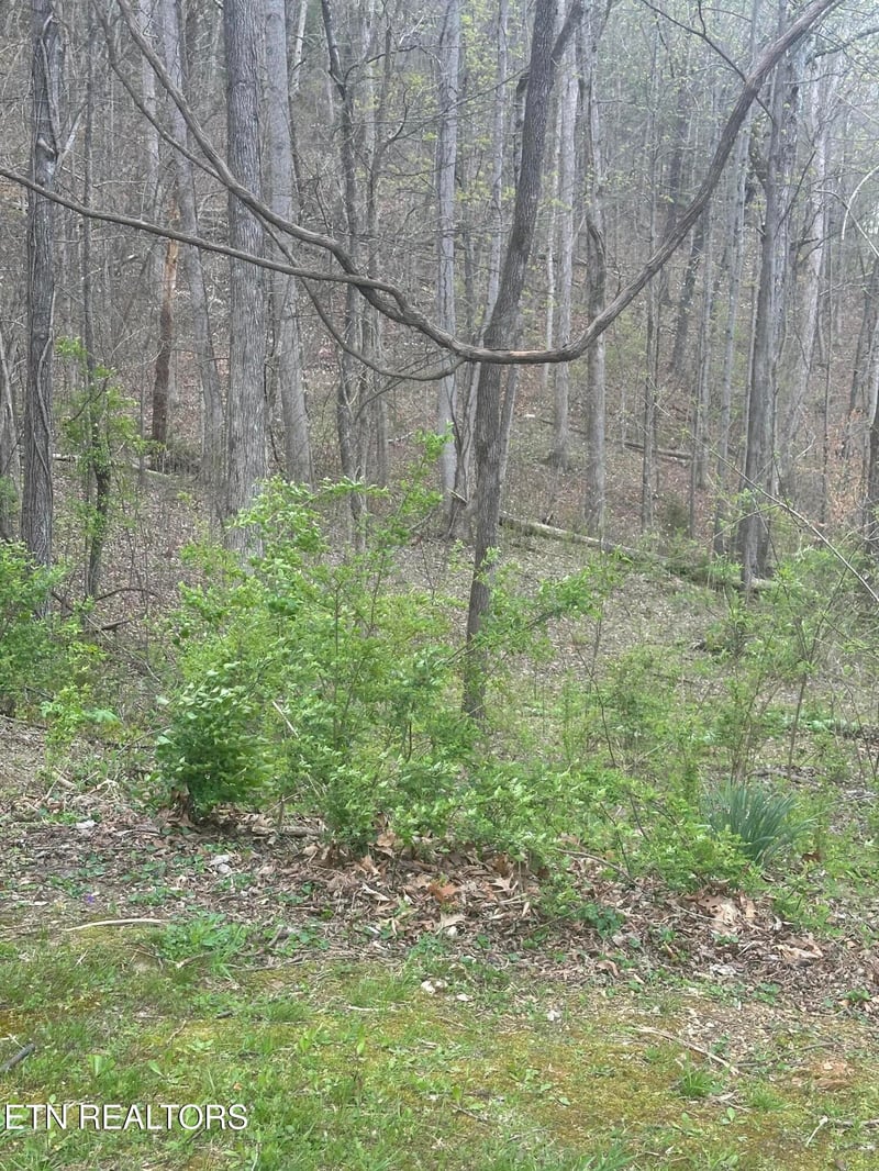 0 Mountain Grove Ln, Seymour, TN 37865