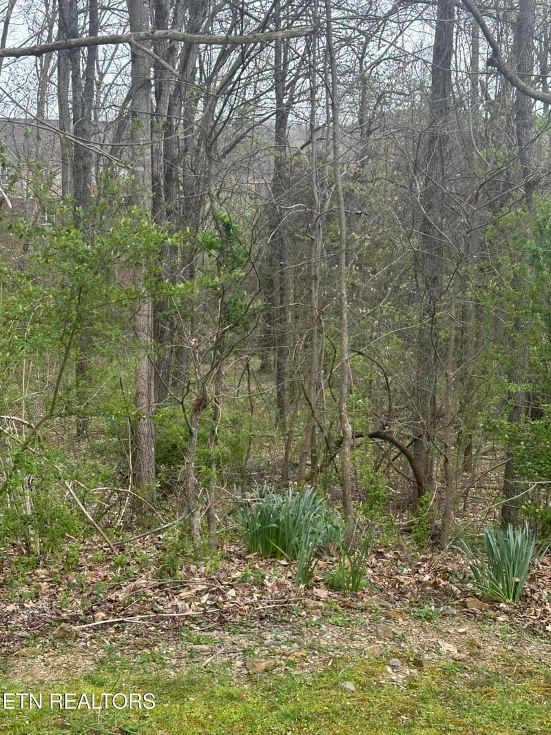 0 Mountain Grove Ln, Seymour, TN 37865