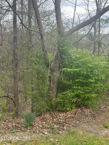 0 Mountain Grove Ln, Seymour, TN 37865