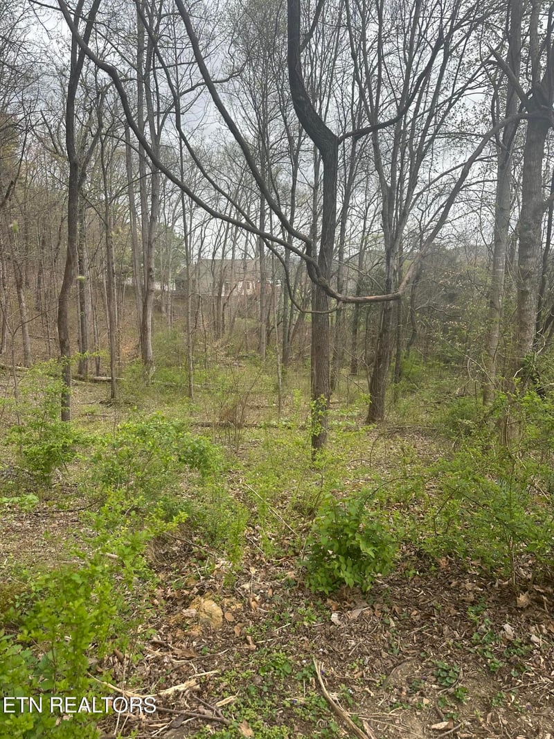 0 Mountain Grove Ln, Seymour, TN 37865