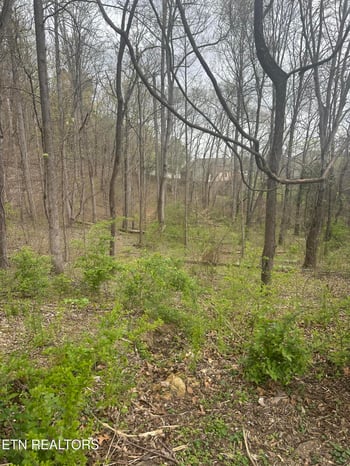 0 Mountain Grove Ln, Seymour, TN 37865