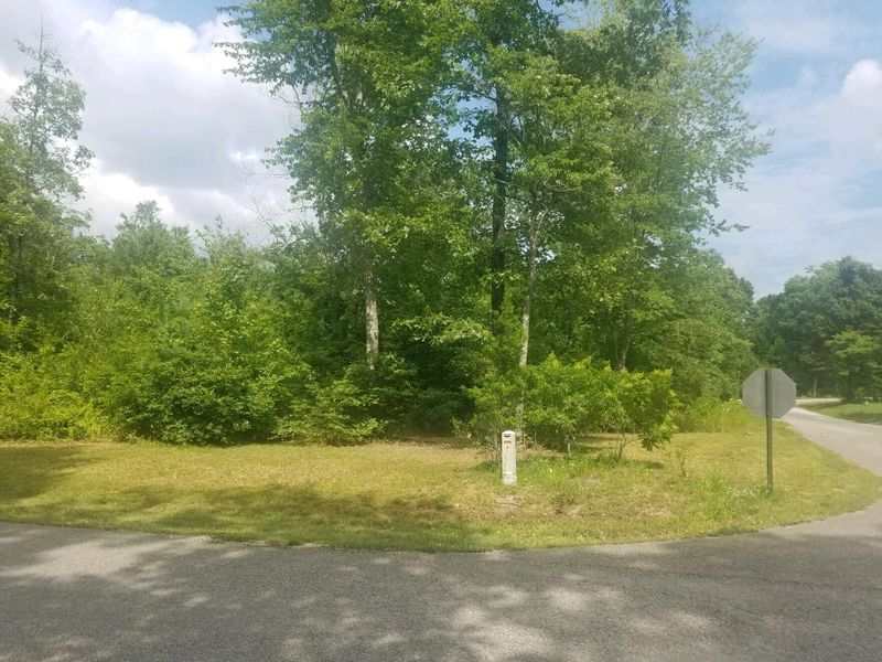 0 Mountain Preserve Rd, Crab Orchard, TN 37723