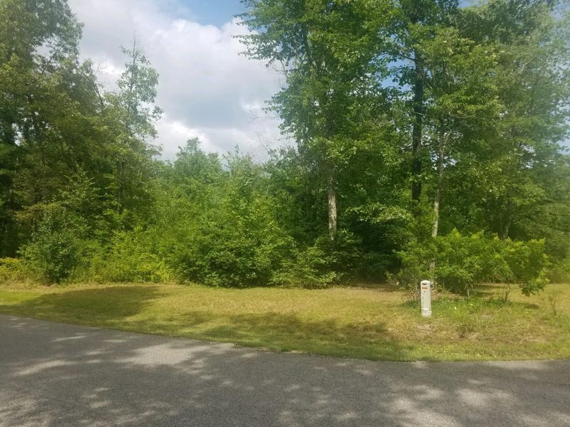 0 Mountain Preserve Rd, Crab Orchard, TN 37723