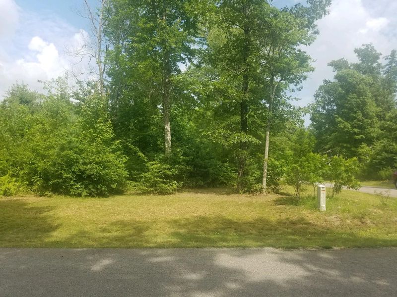 0 Mountain Preserve Rd, Crab Orchard, TN 37723