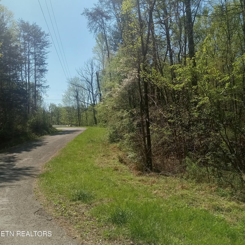 0 Mountain Rd, Tellico Plains, TN 37385