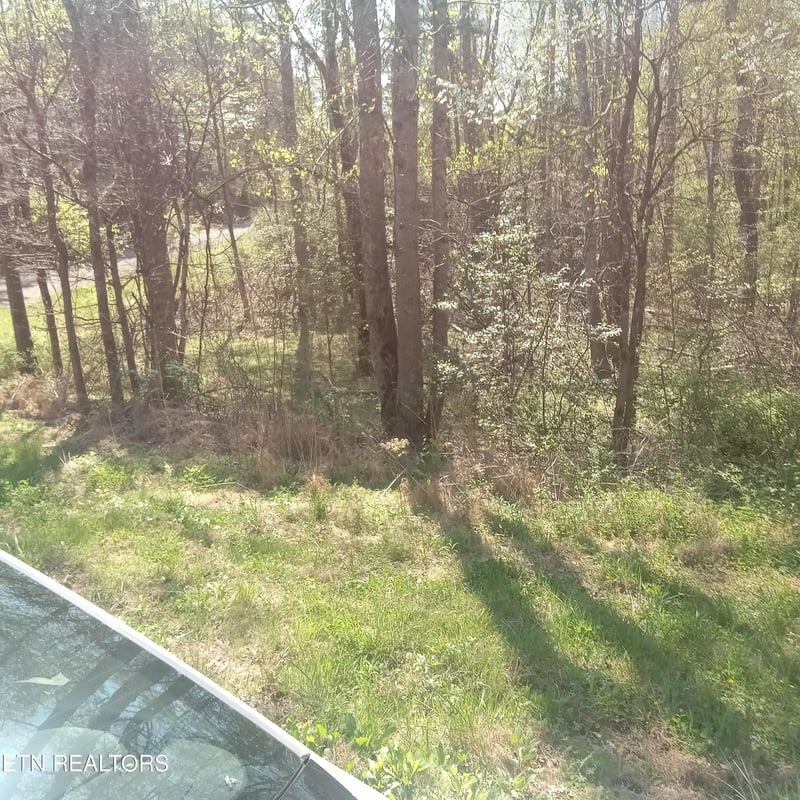 0 Mountain Rd, Tellico Plains, TN 37385
