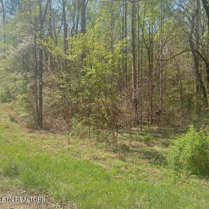 0 Mountain Rd, Tellico Plains, TN 37385