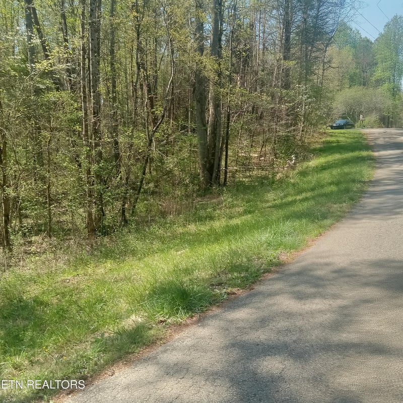 0 Mountain Rd, Tellico Plains, TN 37385