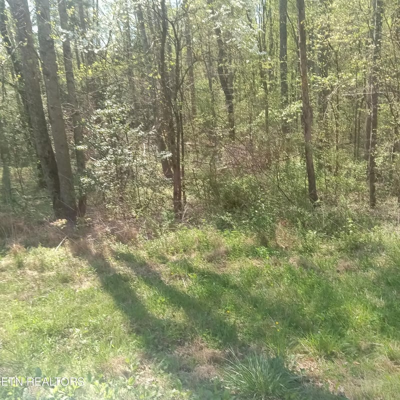 0 Mountain Rd, Tellico Plains, TN 37385
