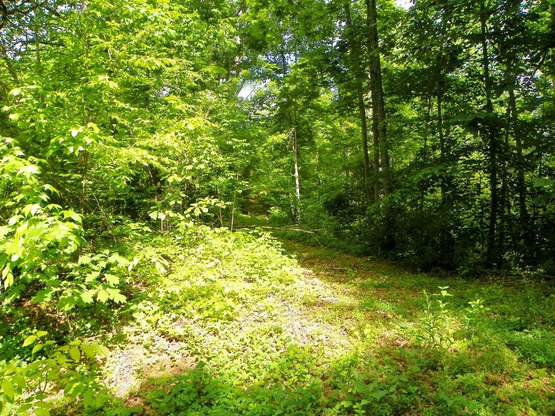 0 Mountain Scenic Way, Sevierville, TN 37876