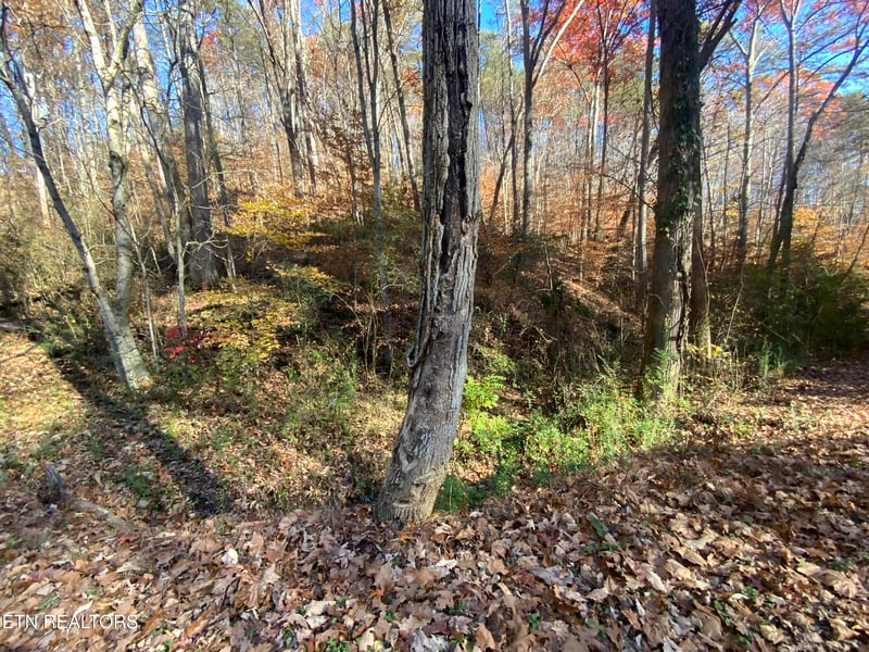 0 Mountain Side Ln, Rocky Top, TN 37769