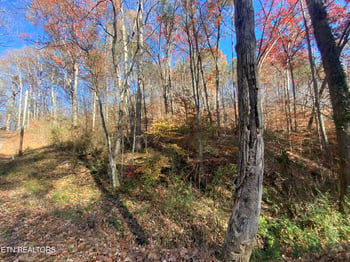 0 Mountain Side Ln, Rocky Top, TN 37769
