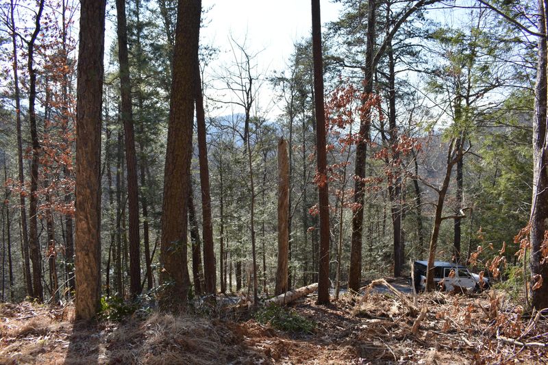 0 Mountain Top Rd, Gatlinburg, TN 37738
