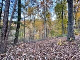 0 Mountain Trail Ln, Sevierville, TN 37876