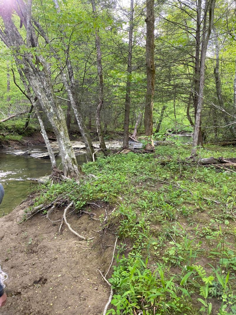 0 Mountain View Rd, Robbins, TN 37852