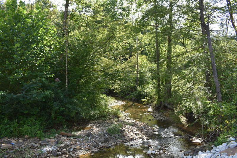 0 Mountain View Rd, Robbins, TN 37852