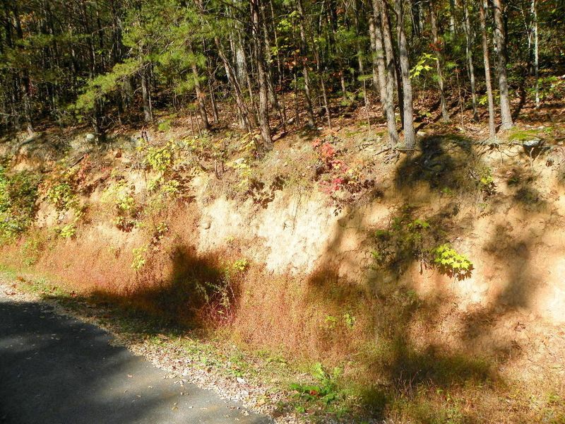 0 Mountain Way, Sevierville, TN 37862