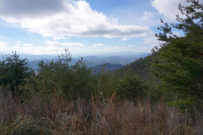 0 Moutain Ash Way, Sevierville, TN 37876