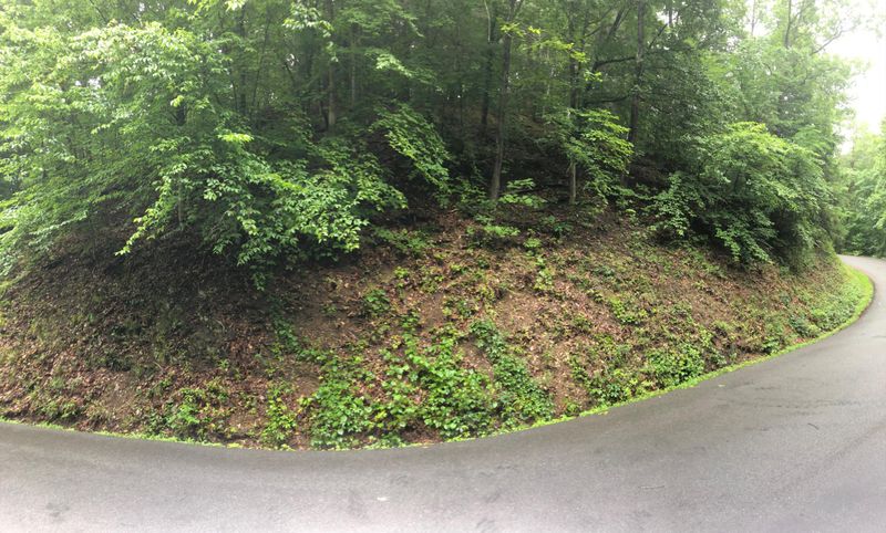 0 Mr Marshall Dr, Pigeon Forge, TN 37863