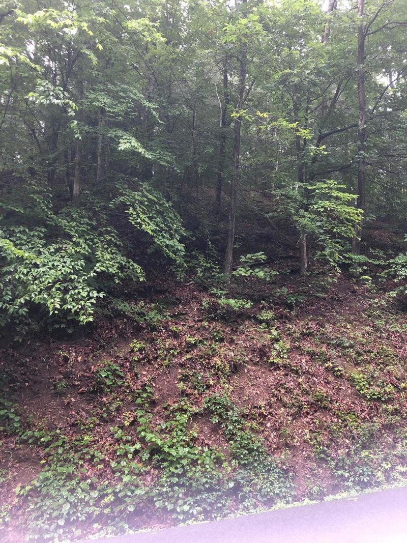 0 Mr Marshall Dr, Pigeon Forge, TN 37863