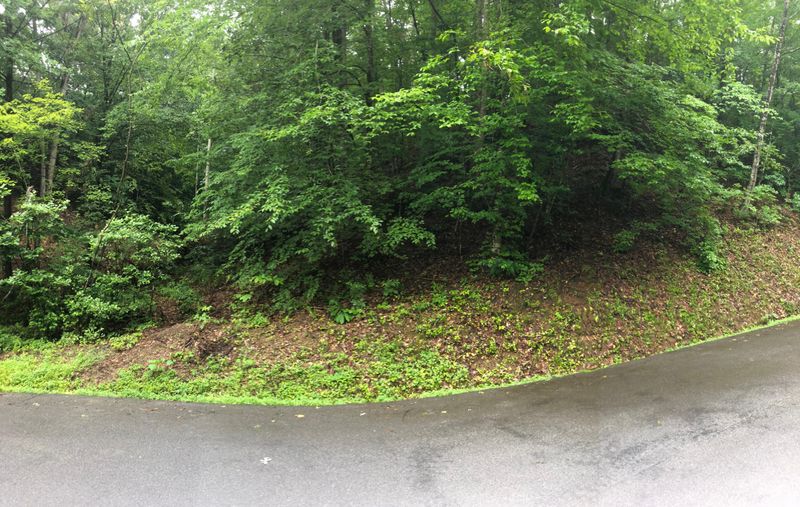 0 Mr Mashall Dr, Pigeon Forge, TN 37863