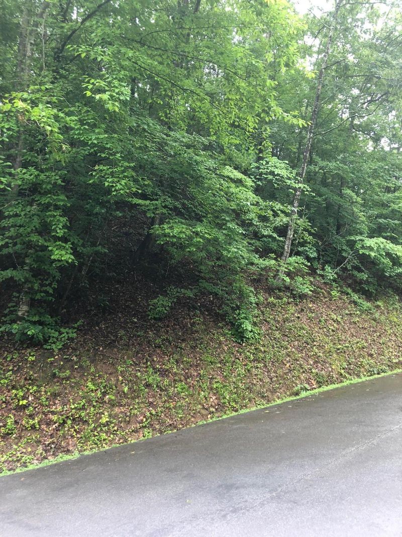 0 Mr Mashall Dr, Pigeon Forge, TN 37863