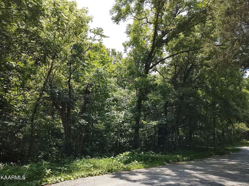 0 Mt Harmony Rd, Tellico Plains, TN 37385