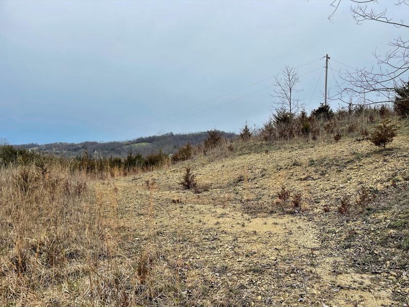 0 Mtn Valley Highway 131, Thorn Hill, TN 37881