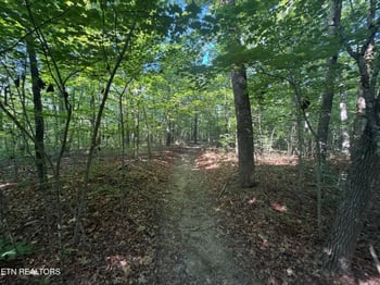 0 Muddy Branch Road Rd, Crossville, TN 38571