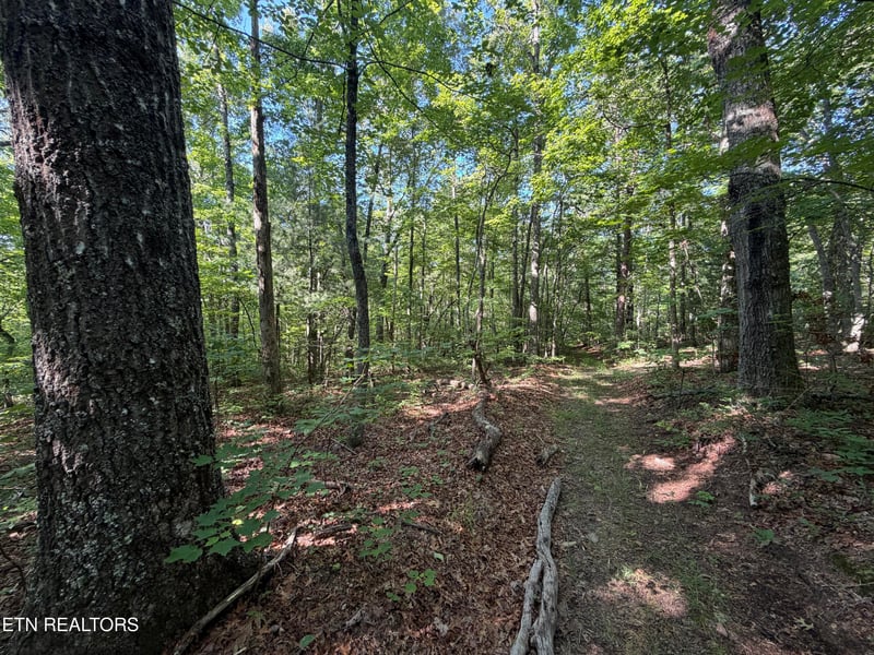 0 Muddy Branch Road Rd, Crossville, TN 38571