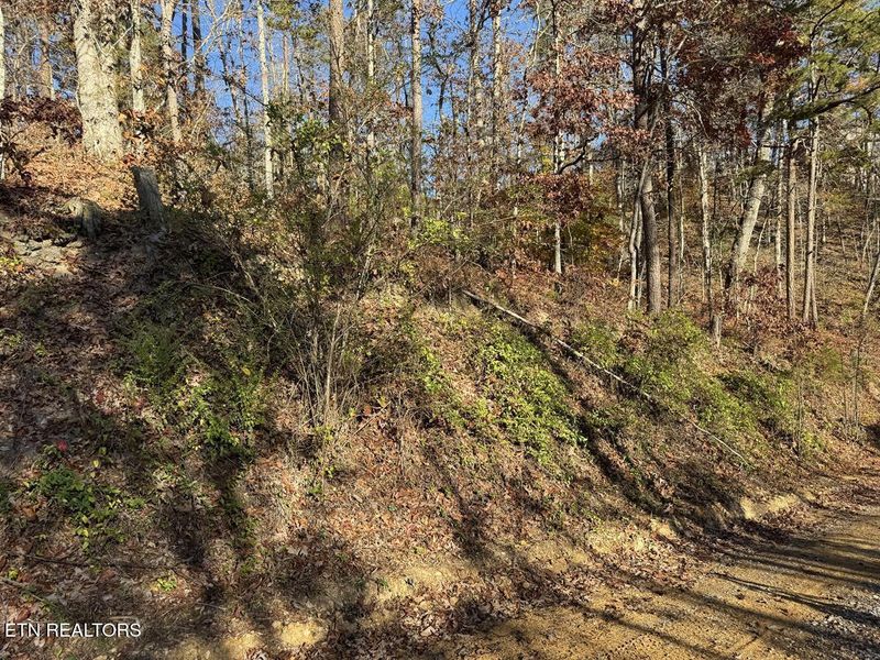0 Mulberry Way, Sevierville, TN 37876