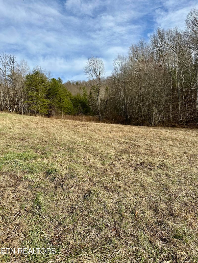 0 Mullins Ln, Sunbright, TN 37872