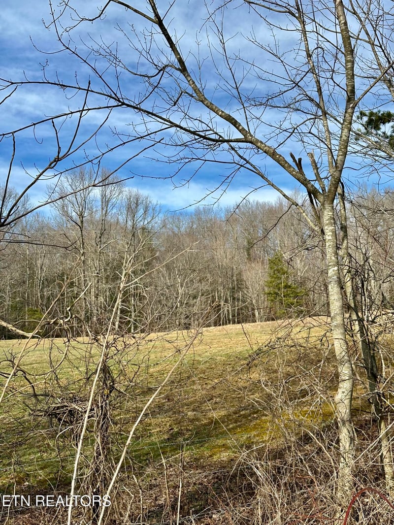0 Mullins Ln, Sunbright, TN 37872