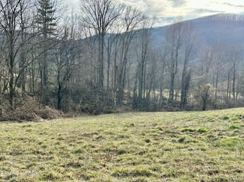 0 Mullins Ln, Sunbright, TN 37872