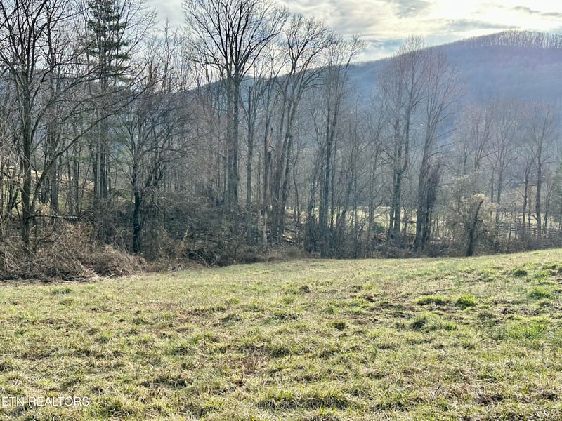 0 Mullins Ln, Sunbright, TN 37872