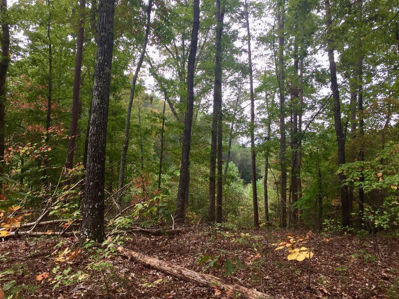 0 Myers Rd, Tellico Plains, TN 37385