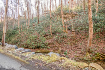 0 N Clear Fork Rd Lot 4, Sevierville, TN 37862